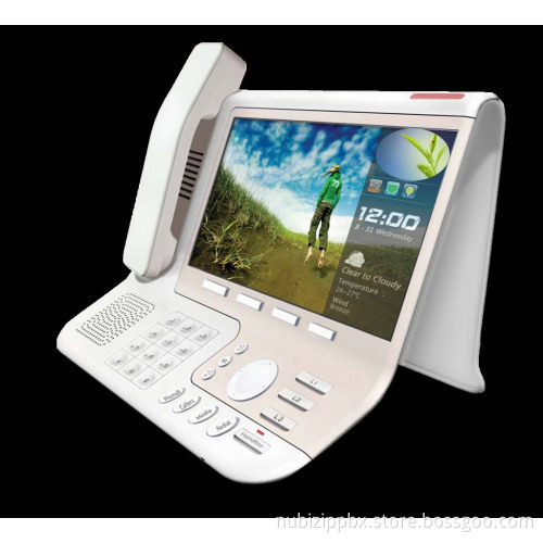 Video IP Phone (GNT5812)